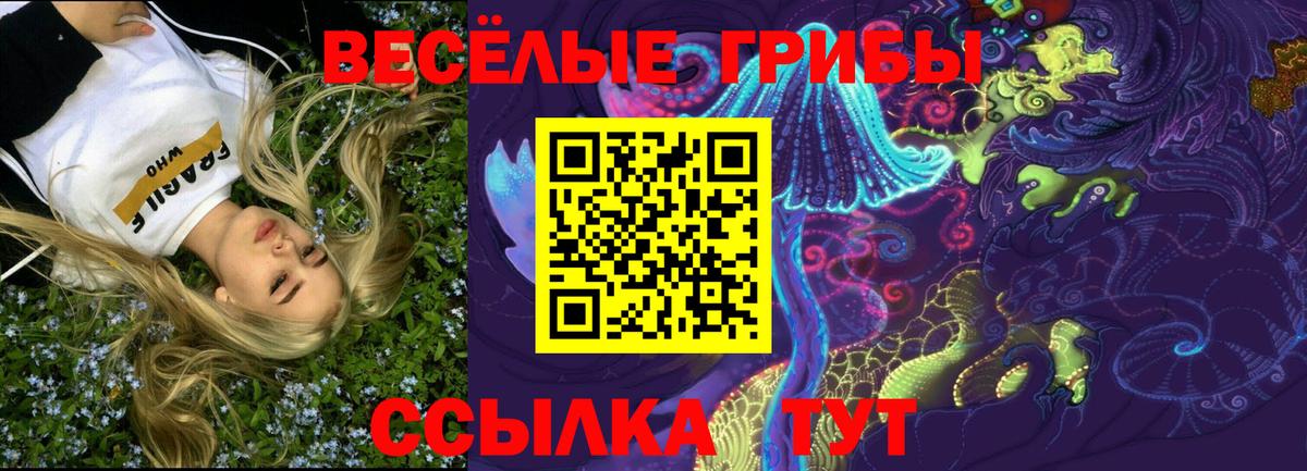 Галлюциногенные грибы мицелий  Вход с VPN  Нальчик  Псилоцибиновые грибы прущие грибы 